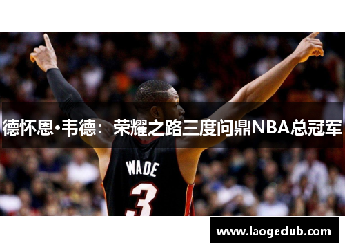 德怀恩·韦德：荣耀之路三度问鼎NBA总冠军