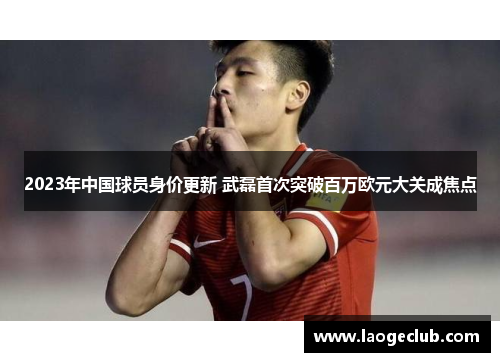 2023年中国球员身价更新 武磊首次突破百万欧元大关成焦点
